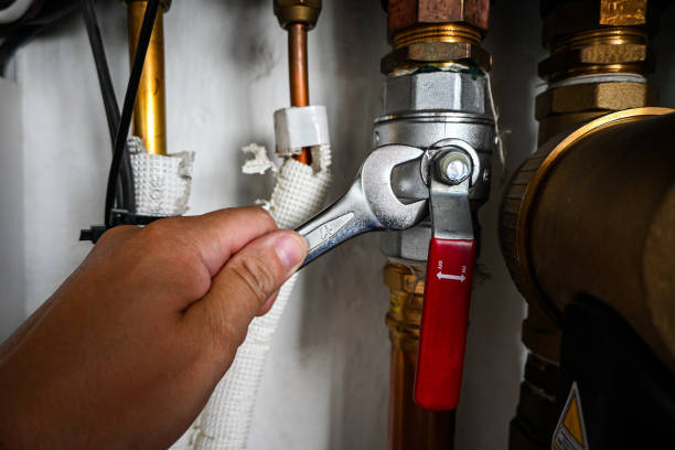 Best Plumbing Services Near Me  in Delmar, MD